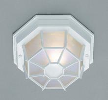  40581 WH - Benkert 1-Light, Weblike Design, Enclosed Flush Mount Ceiling Lantern Light